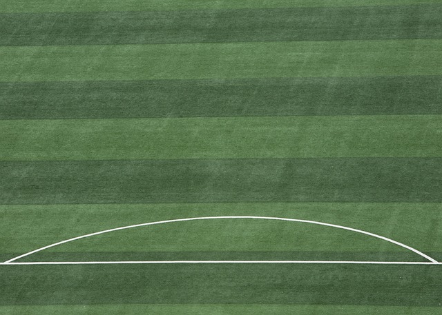 孟菲斯灰熊 孟菲斯灰熊