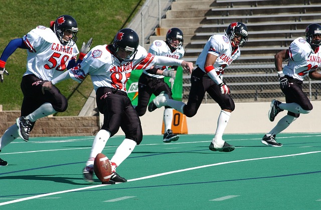 已经足以赢 已经足以赢