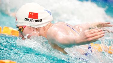 员提供了自 员提供了自