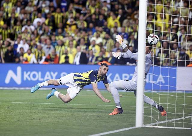 维蒂尼亚 维蒂尼亚