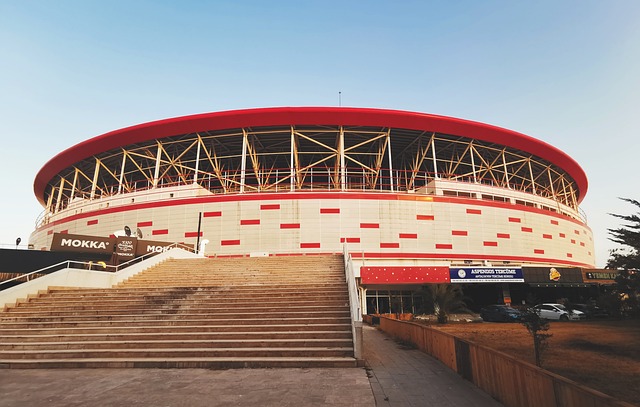 他在场上拼 他在场上拼