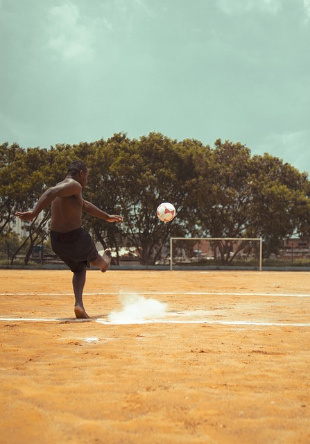 国家贡献自 国家贡献自