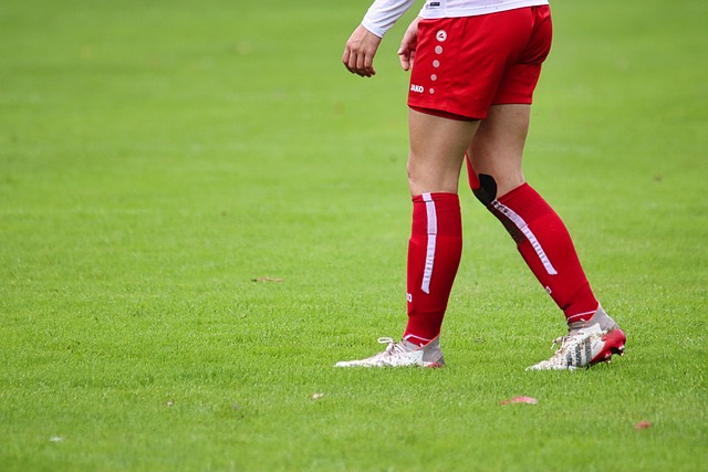 這些特質成 這些特質成