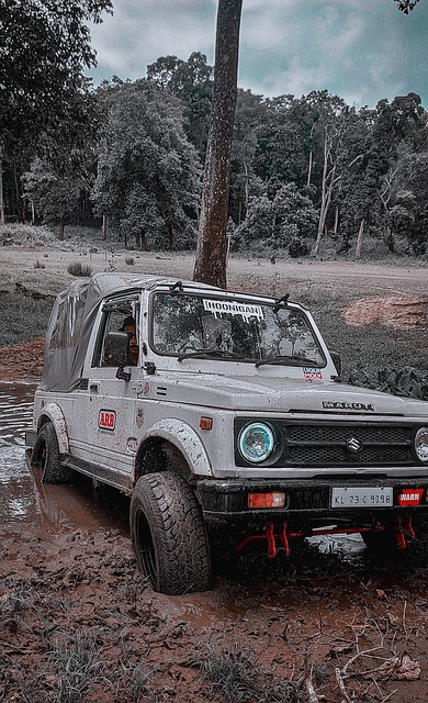 出夢想家對 出夢想家對